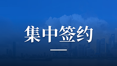 尊龙凯时联行助力奉城镇S3科创走廊推介会圆满落幕